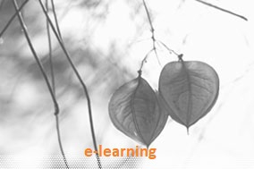 Curso de especialização » Ciências da Informação e da Documentação | e-Learning 216 horas
