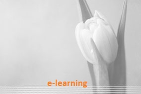 Curso de especialização » Património Cultural e Museologia | e-Learning 216 horas