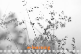 Curso de especialização » Arte e Arqueologia | e-Learning 216 horas