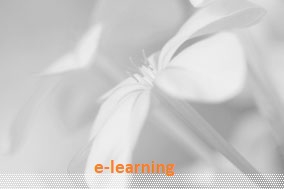 Curso de especialização » Estatística e Análise de Dados | e-Learning 216 horas