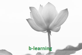 Curso de especialização » Educação e Formação | b-Learning 216 horas